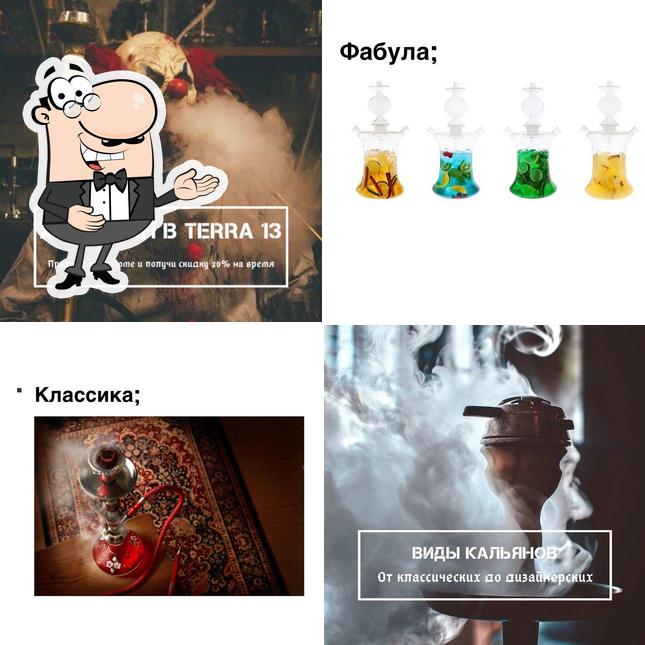 Терра 13 лаунж