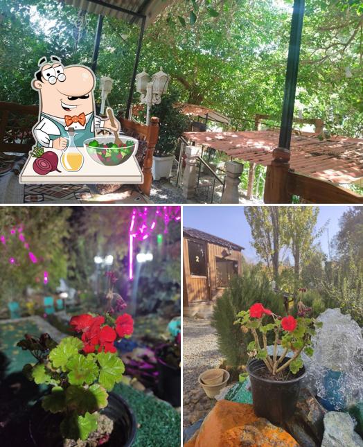باغ رستوران عربی میثم چاکلز