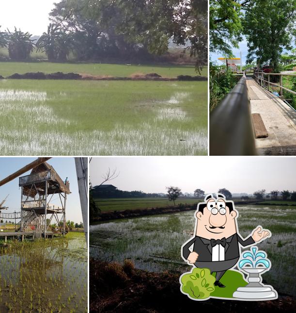 ร้านอาหารนายแกะ