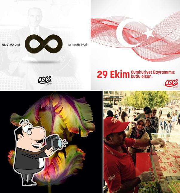 Ilgın Oses Çiğköfte + Plus