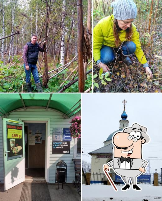 Холмогоры