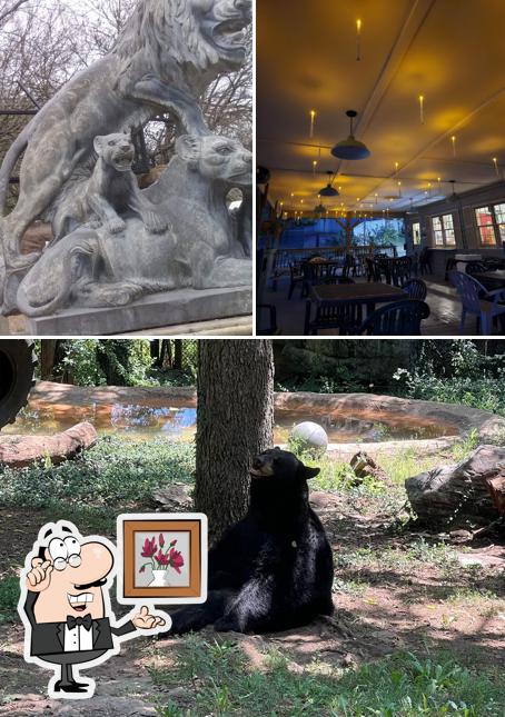 Bush Country Cafe