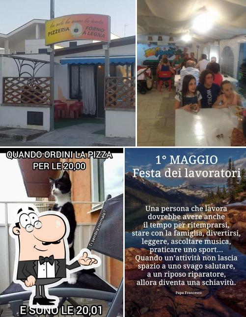 Pizzeria Lu Sule Lu Mare Lu Ientu