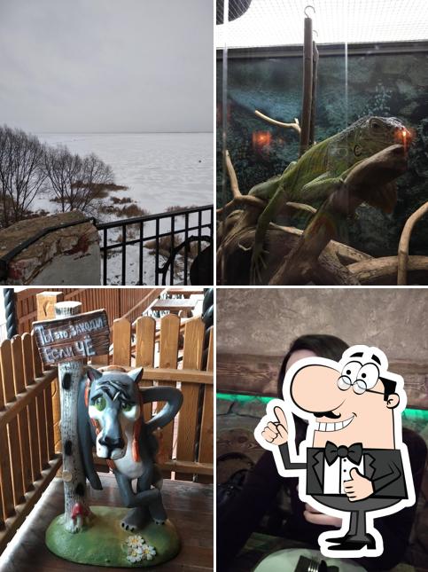 Какаду