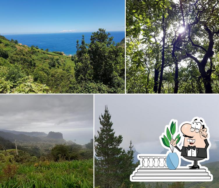 Leitão da Serra