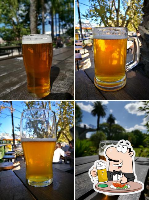 Lowell's Biergarten Tigre