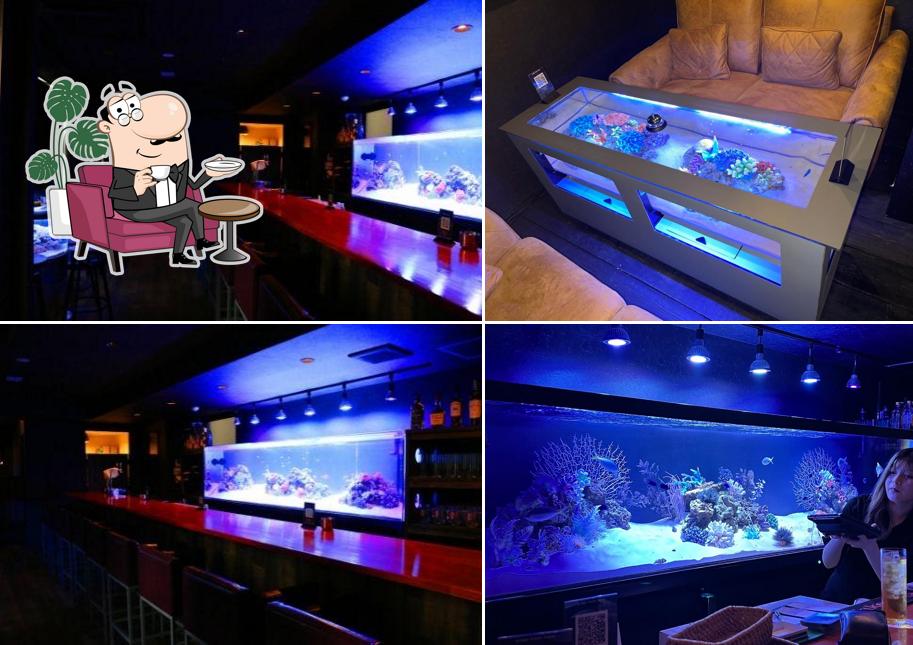 Aquarium bar OCEANS 姫路本店