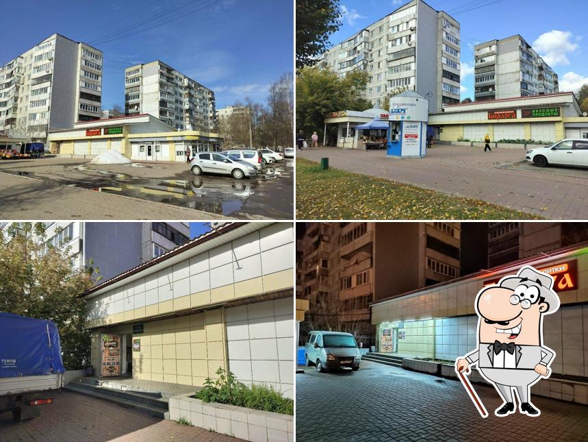 Бирлога
