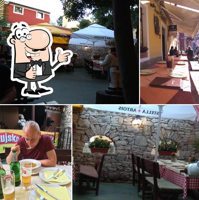 Pivnica Park, Novigrad