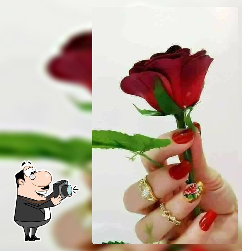 ครัวต้นไม้
