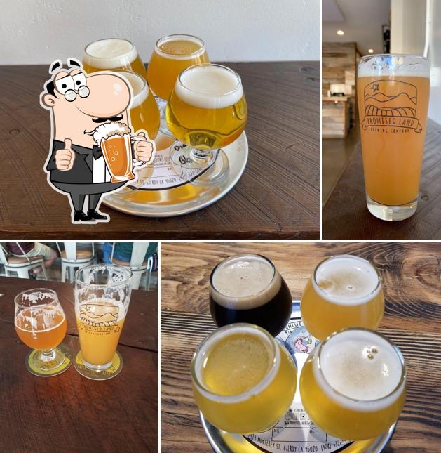 Promised Land Brewing Company