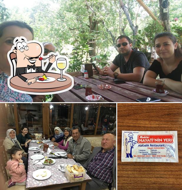 Hayati Muhtarın Yeri