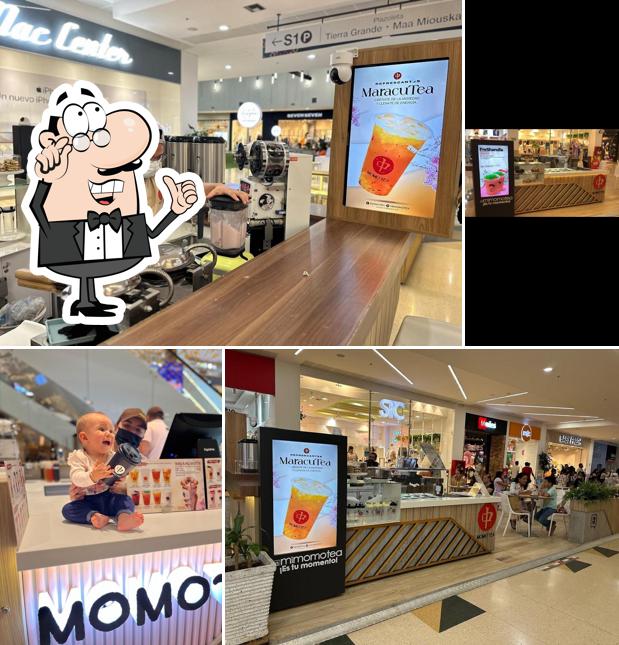 Momotea Riohacha