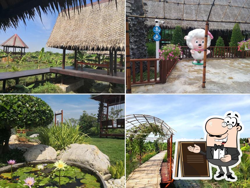 ลมดี คาเฟ่