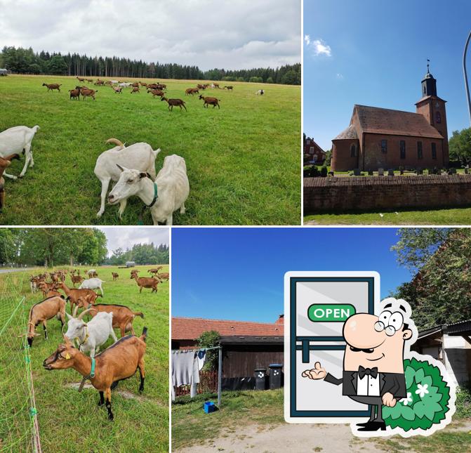 Pension Zum Storchenhof