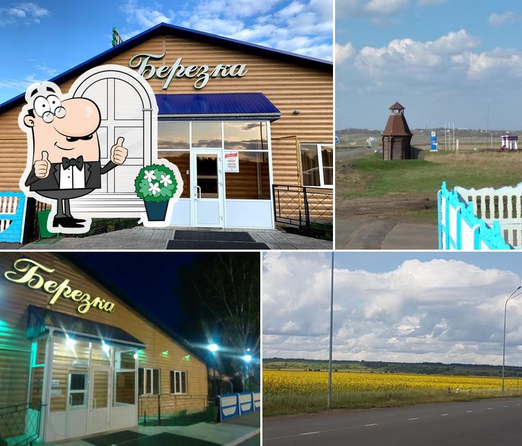 Берёзка