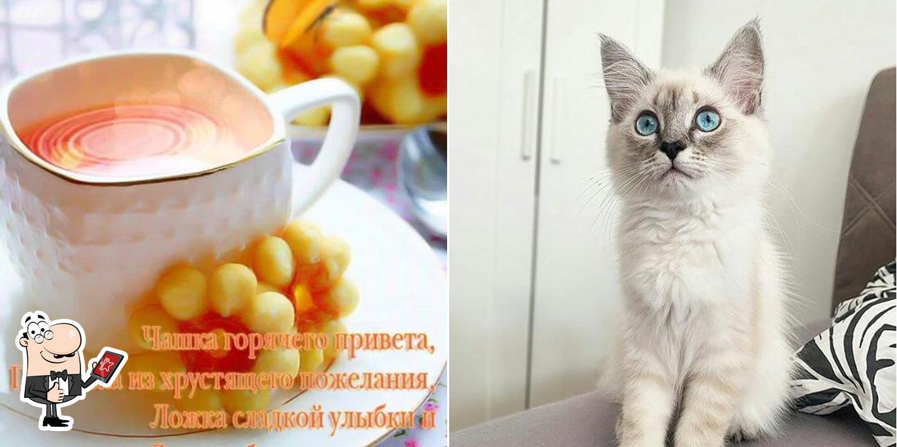 Кафе Малика