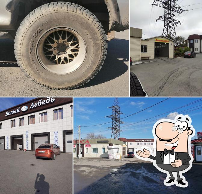 Автомойка "Белый Лебедь"