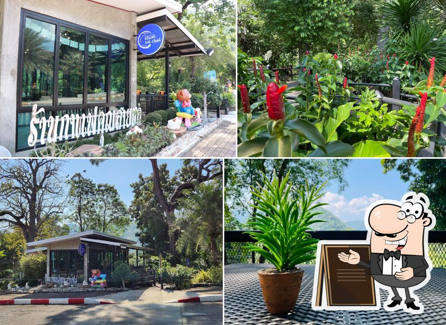 กาแฟ คุณสายชล