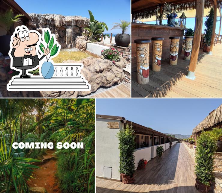 The Jungle Beach Club