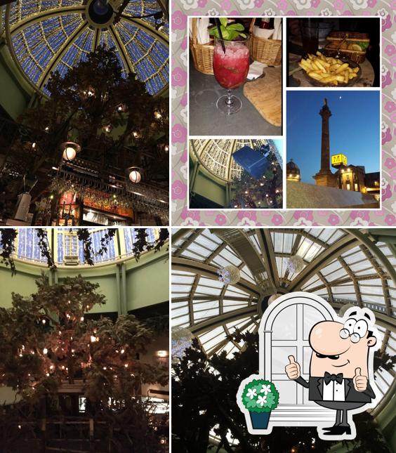 The Botanist Newcastle