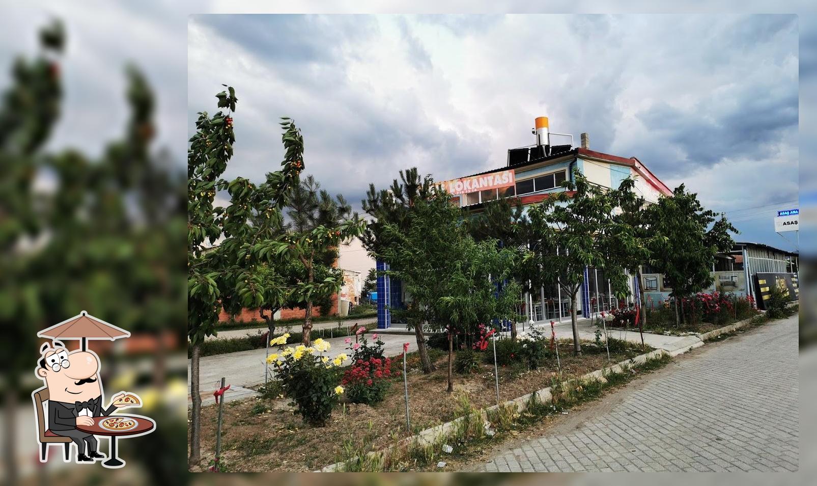 Barış Lokantası 2 (Aşçı Mahir)