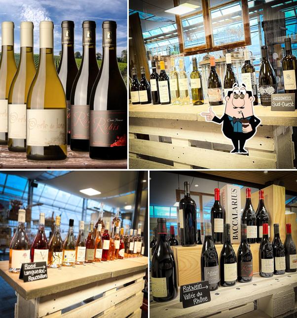 Gil Vins Trouvailles de France