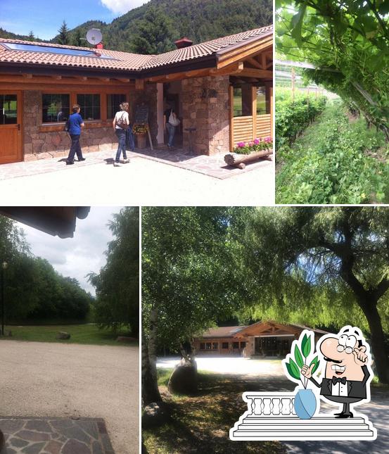 AZ. AGRITURISTICA Rocco Paolazzi