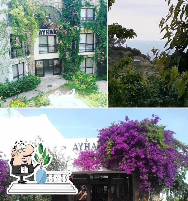 Ayhan Hotel