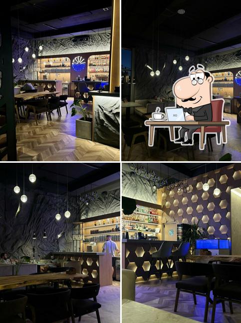 Кальмар Lounge