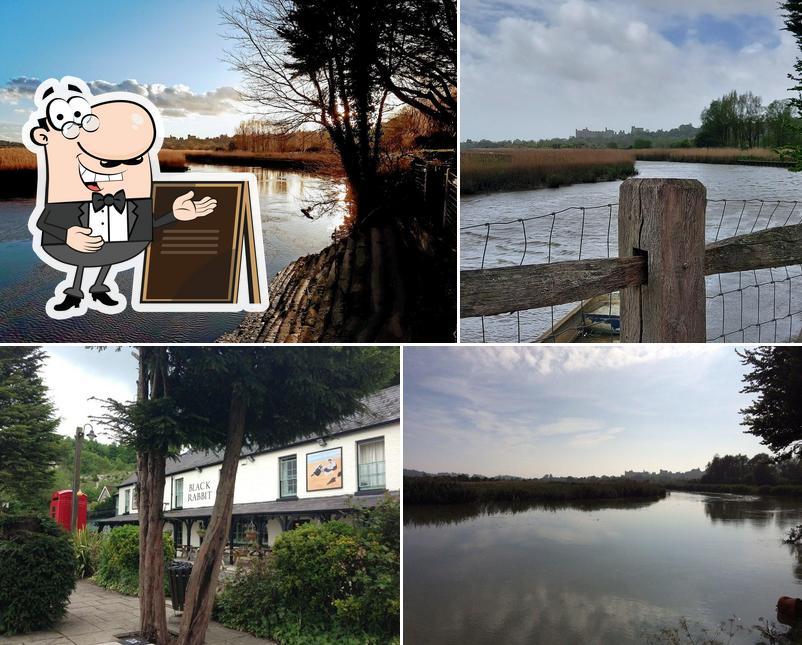 The Black Rabbit
