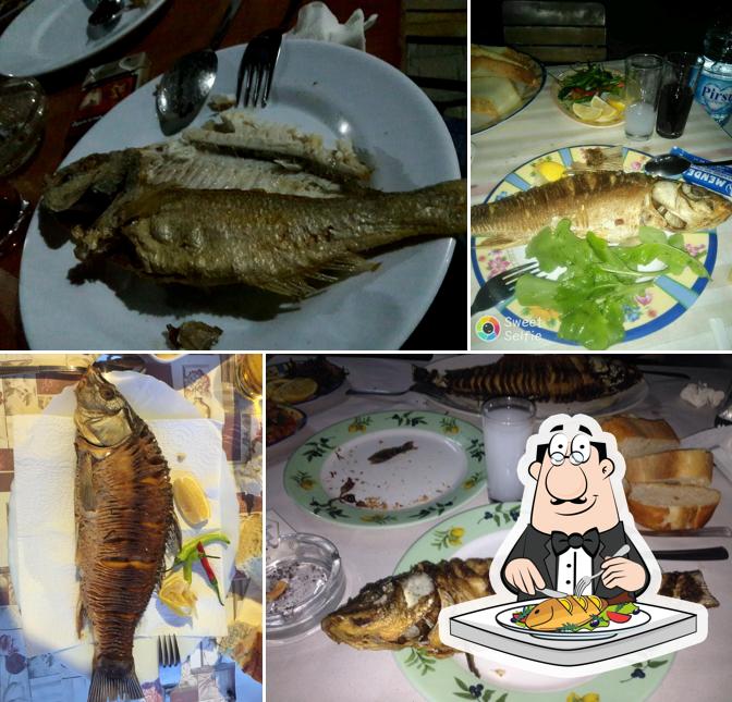 Balıkçı Zihni
