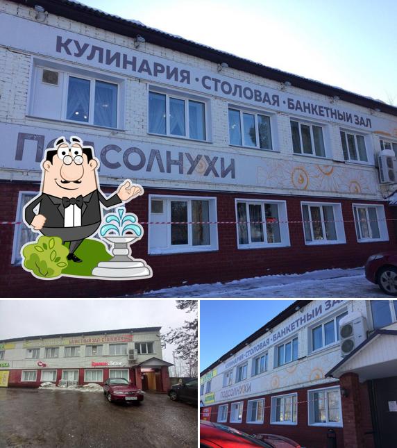 Подсолнухи