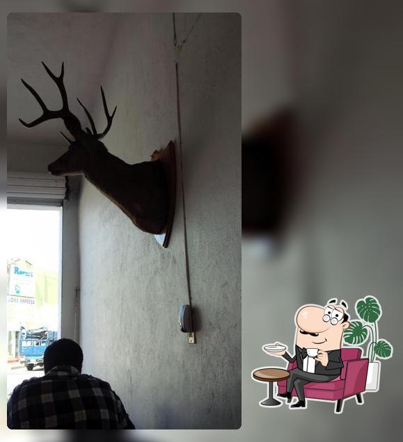 Tortas El Venado