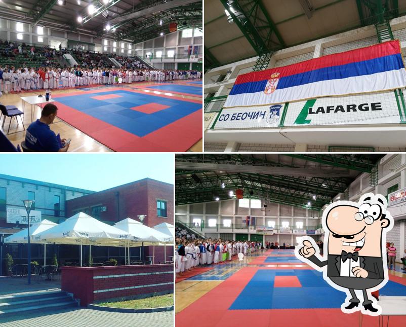 Arena Beocin