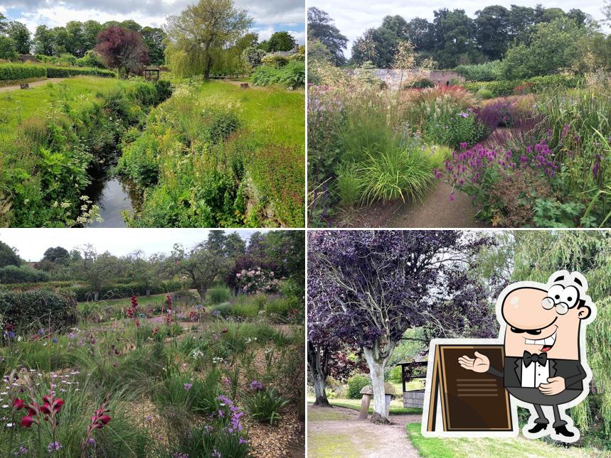 Cambo Gardens