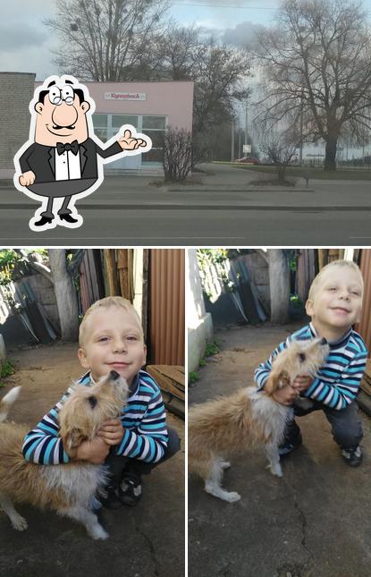 Кафе Купалинка