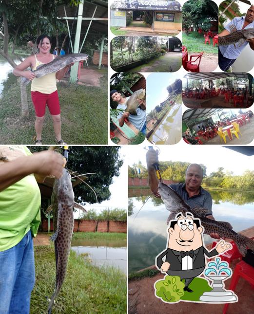 Pesqueiro Nossa Senhora Aparecida