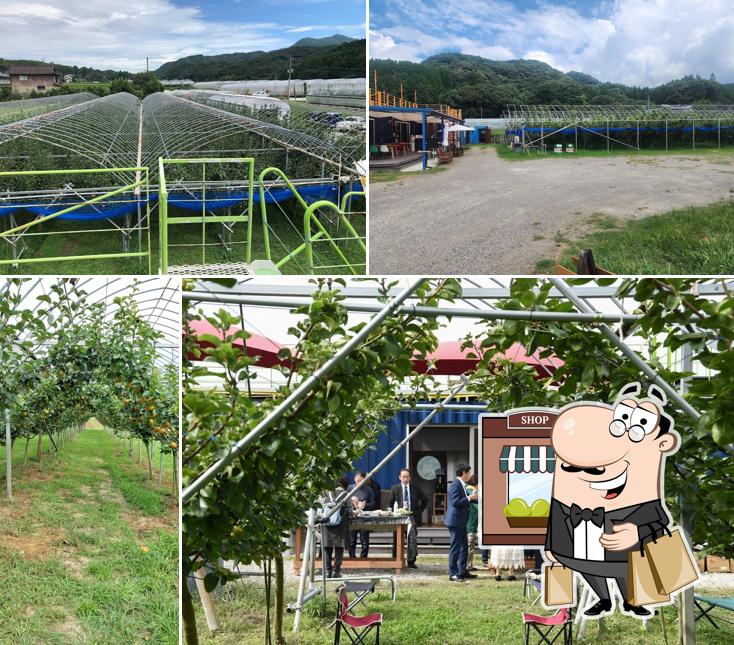 Okawa Pear Tourist Farm