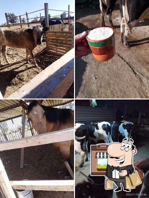 Rancho El Ranero