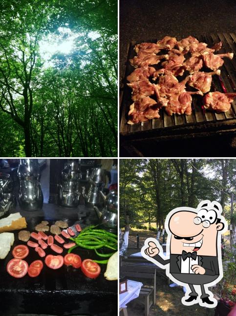 4 MEVSİM ET MANGAL KAMP VE KARAVAN ALANI