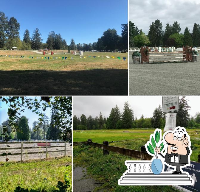 Maple Ridge Equi Sports Center