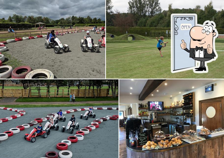 Conifox Adventure Park