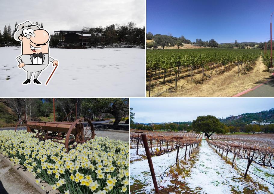 Ironstone Vineyards