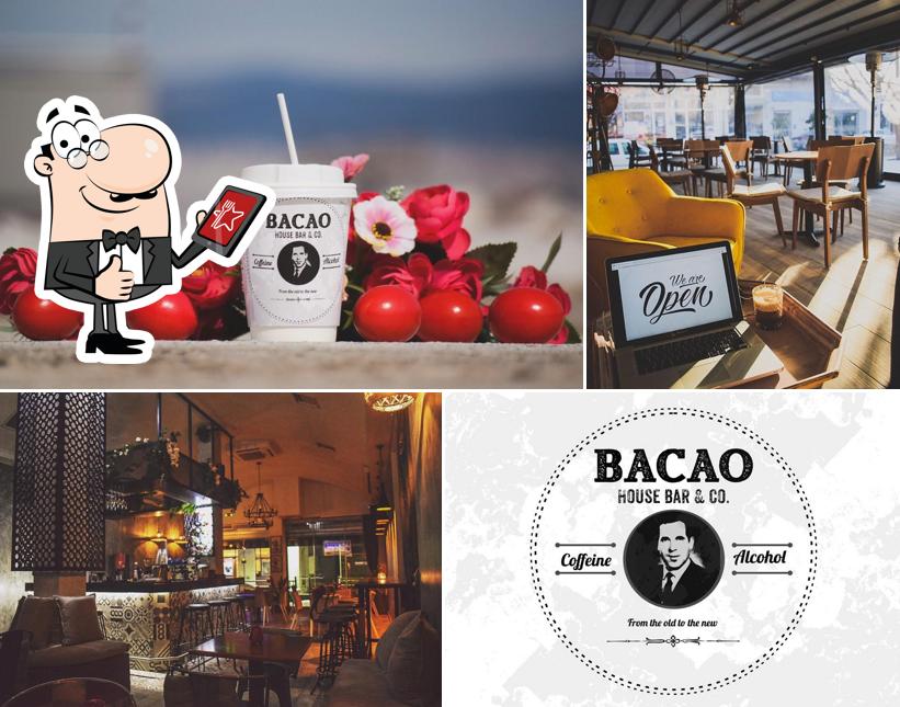 BACAO HOUSE BAR & CO