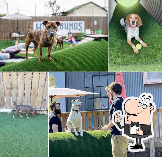 HopHounds Brew Pub & Dog Park