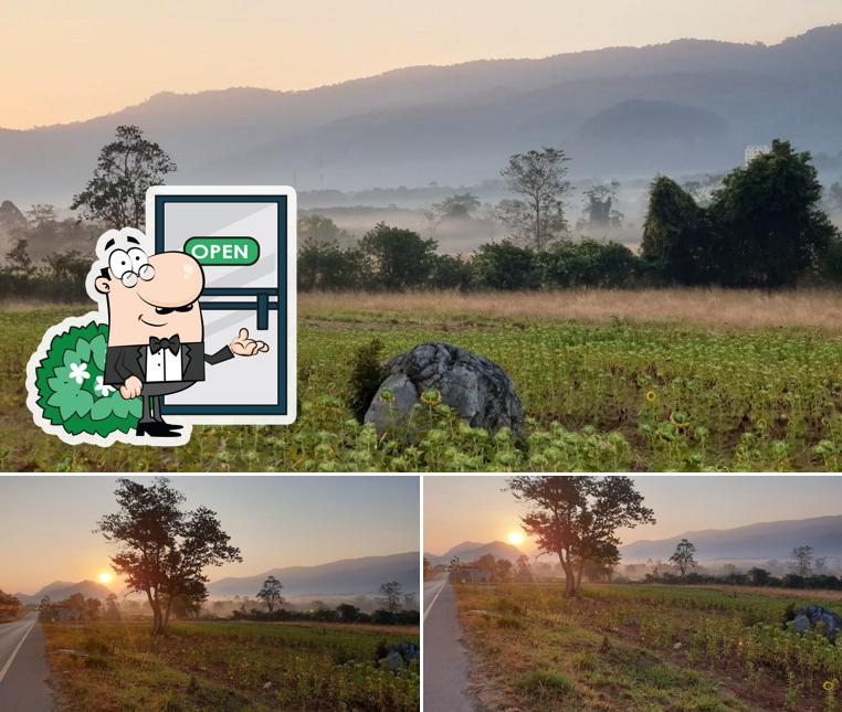 ร้านป้านาง (บ้านริมถนน)