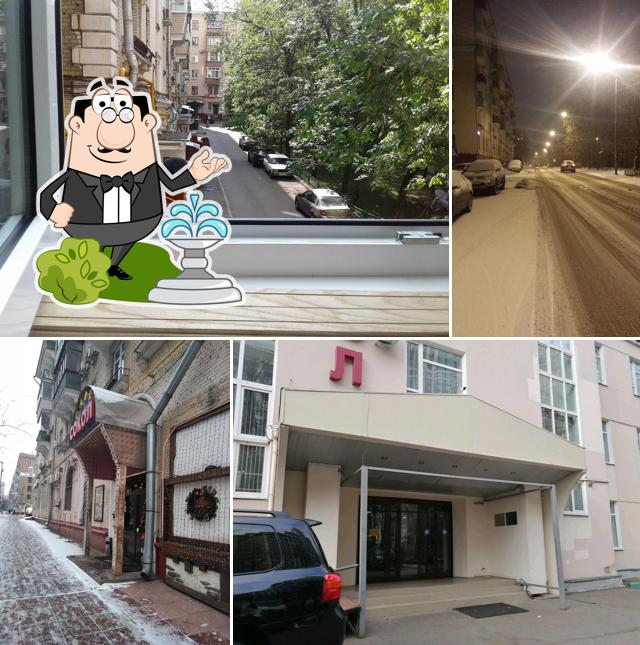 Сокол