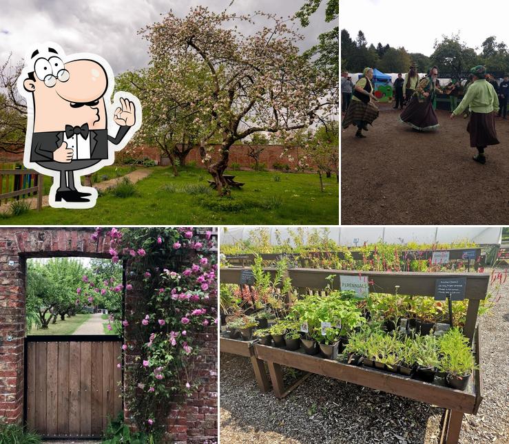 Ripon Community Link at Ripon Walled Garden