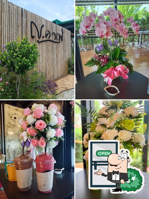 ญ.คาเฟ่